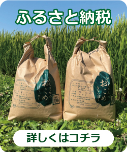 �ӂ邳�Ɣ[��